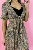 Sprung Leopard Dress